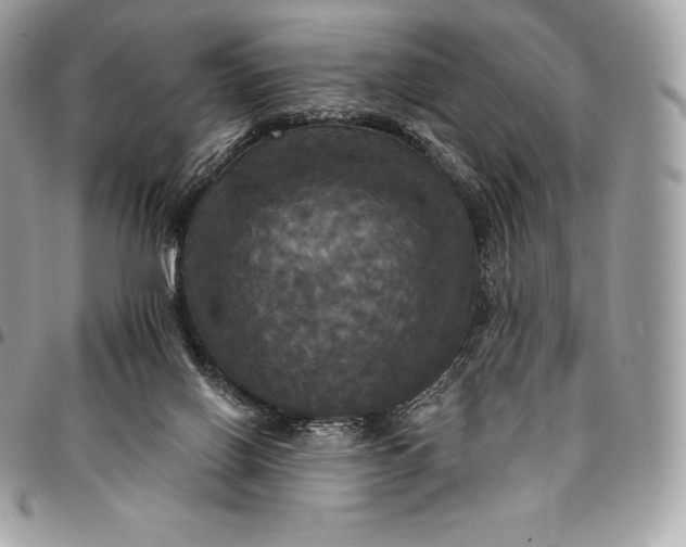 X0000095110070200712211330