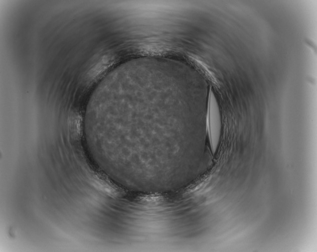 X0000095110071200712211330