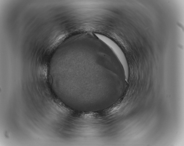 X0000095110072200712211330