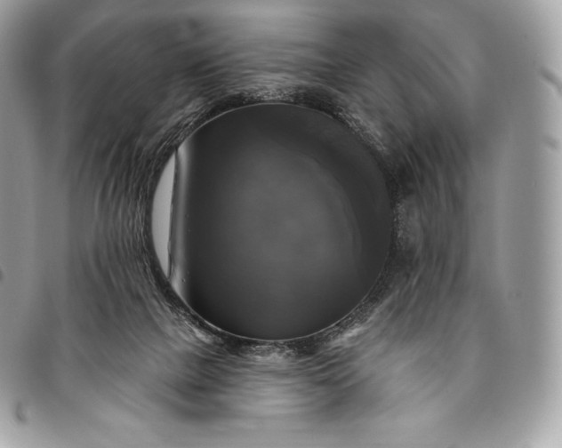 X0000095110073200712211330