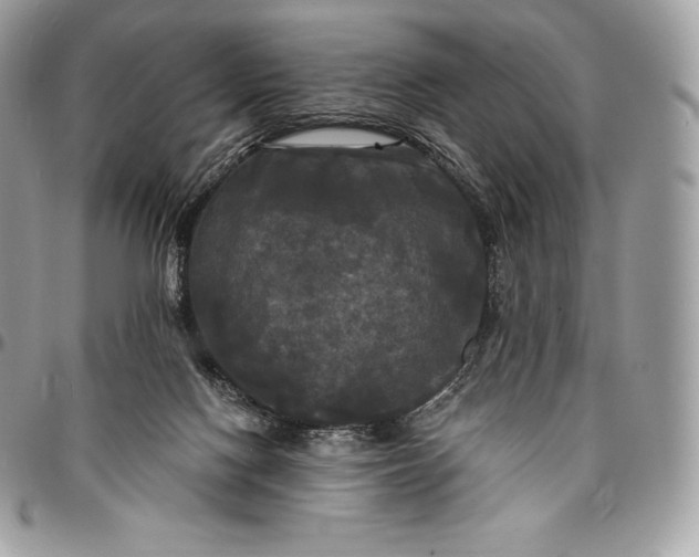 X0000095110074200712211330