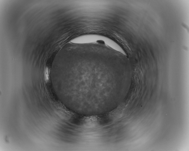 X0000095110075200712211330