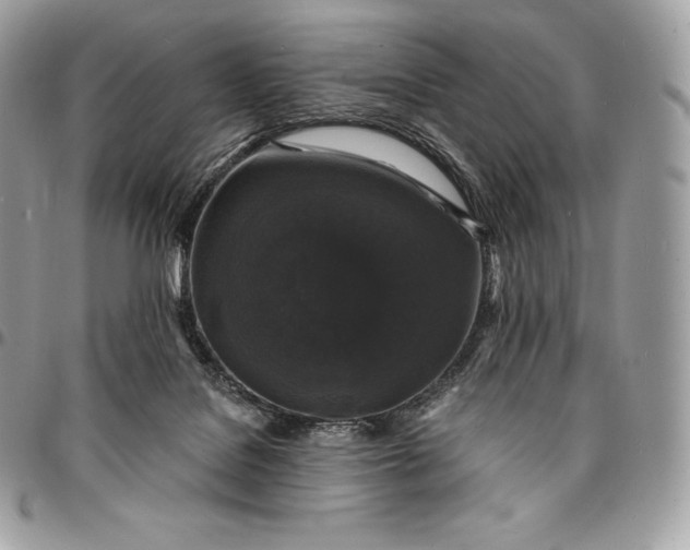 X0000095110076200712211330