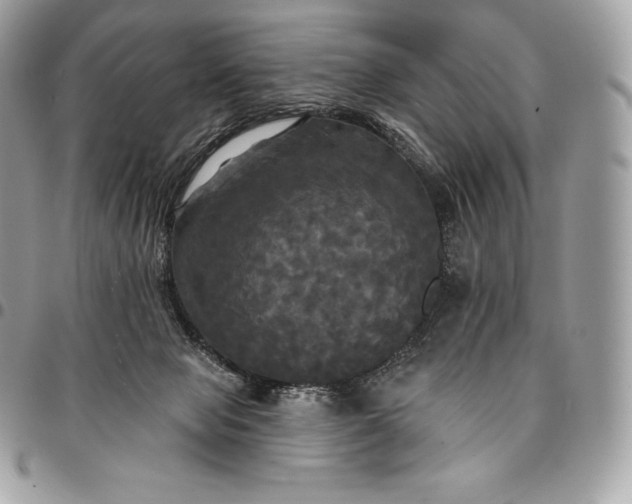 X0000095110077200712211330