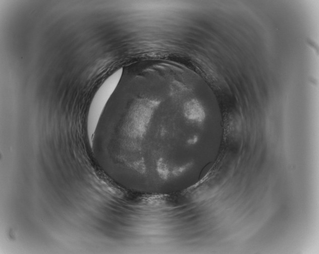 X0000095110078200712211330