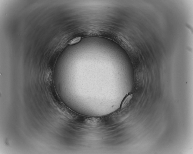 X0000095110079200712211330