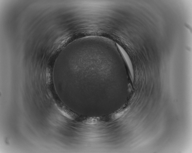 X0000095110080200712211330