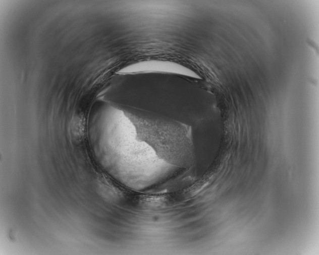 X0000095110081200712211330