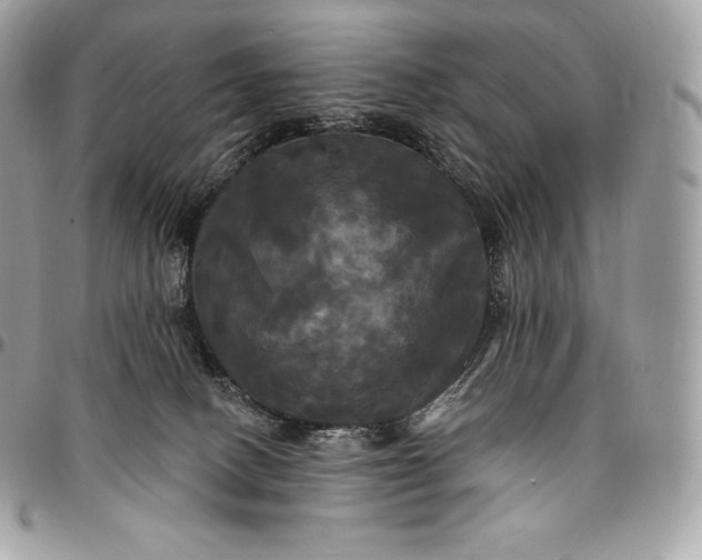 X0000095110082200712211330