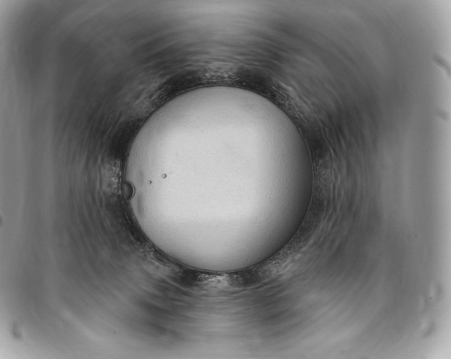 X0000095110083200712211330