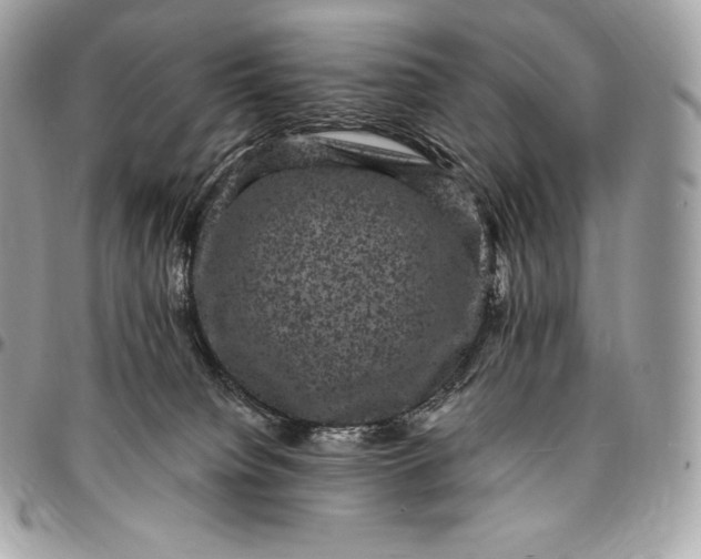 X0000095110084200712211330