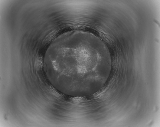 X0000095110085200712211330