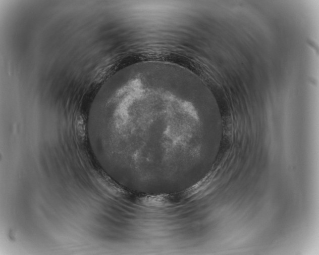 X0000095110086200712211330