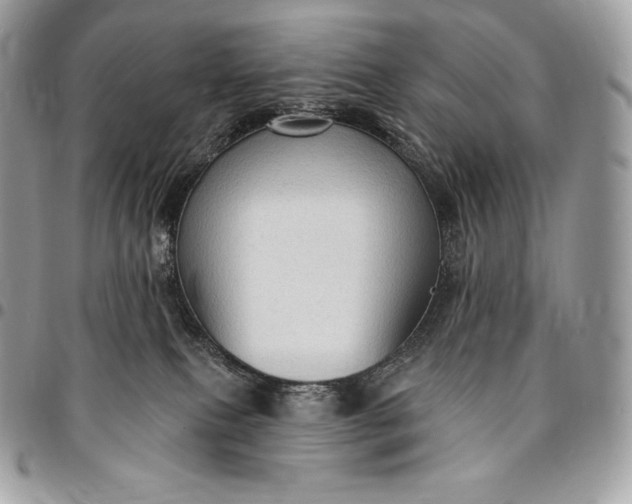 X0000095110087200712211330