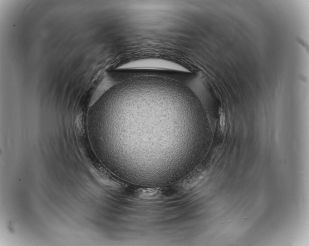 X0000095110088200712211330