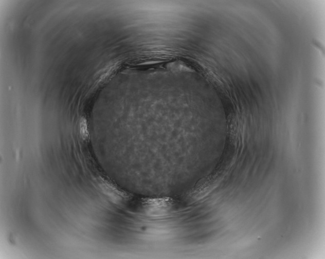 X0000095110089200712211330