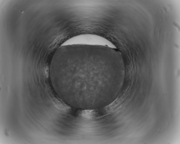 X0000095110090200712211330