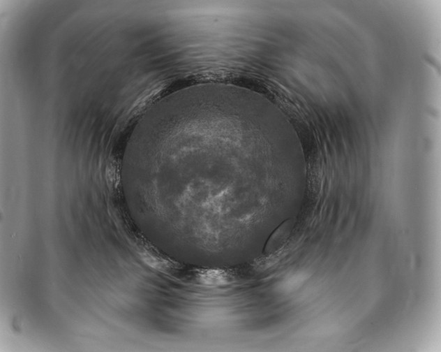 X0000095110091200712211330