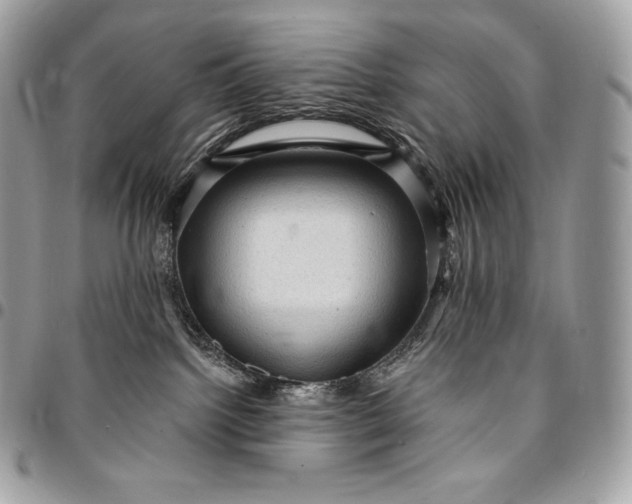 X0000095110092200712211330