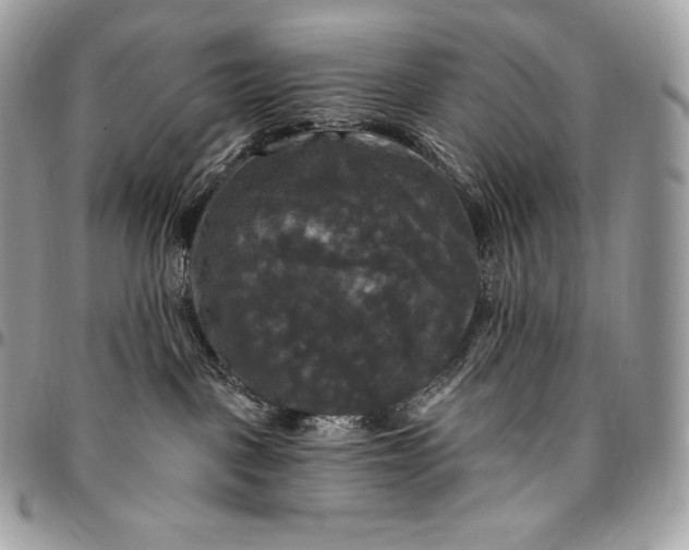 X0000095110093200712211330