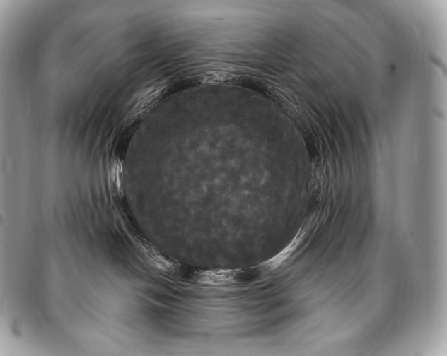 X0000095110094200712211330