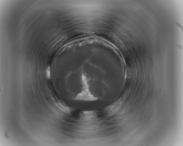 X0000095110095200712211330