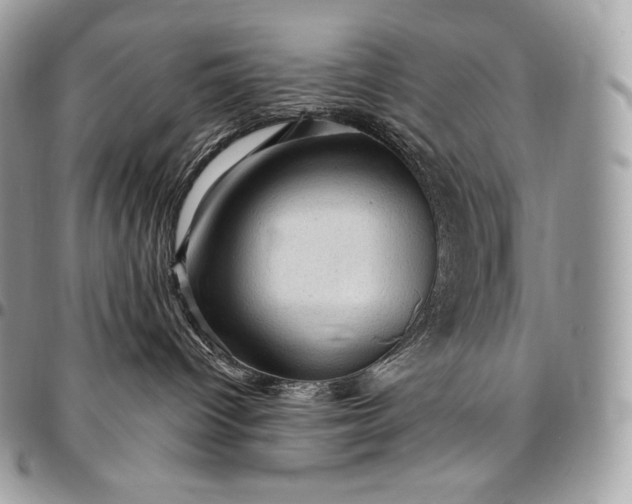 X0000095110096200712211330