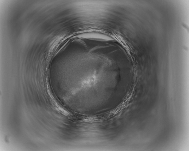 X0000095110097200712211329