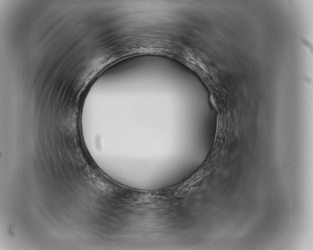 X0000095110098200712211329