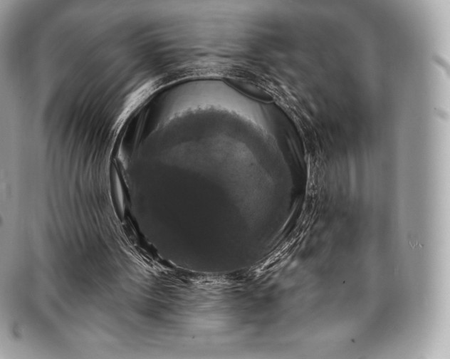 X0000095110099200712211329