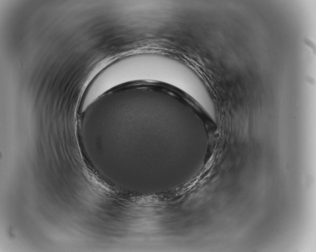 X0000095110100200712211329