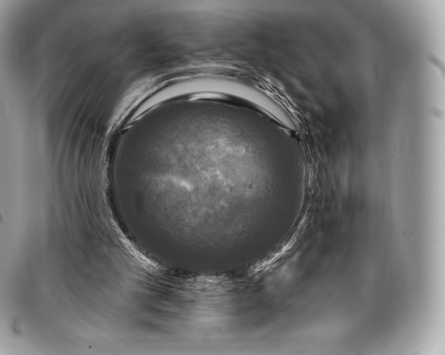 X0000095110101200712211329