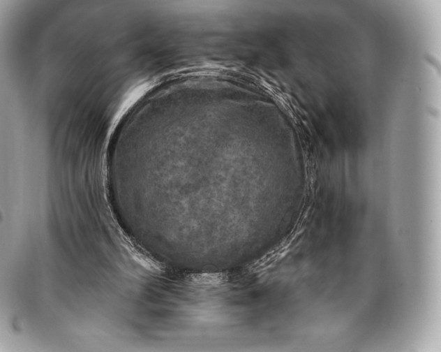 X0000095110102200712211329