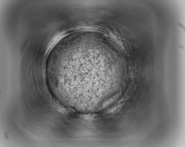 X0000095110103200712211329