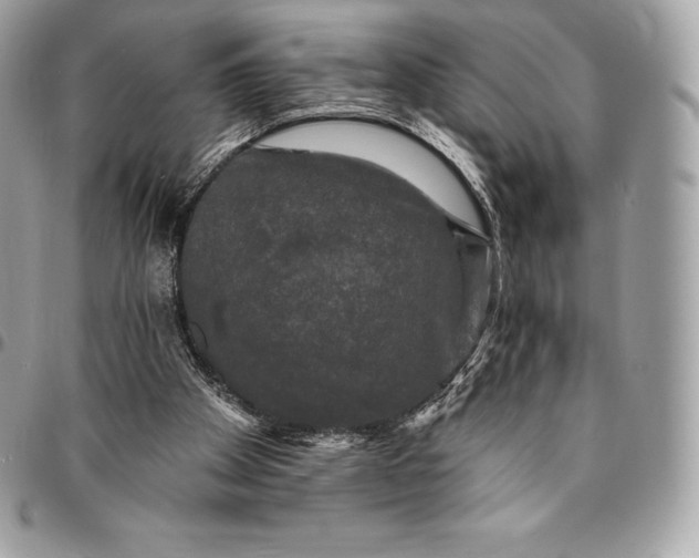 X0000095110105200712211329