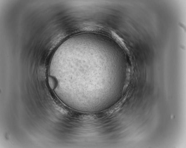 X0000095110106200712211329