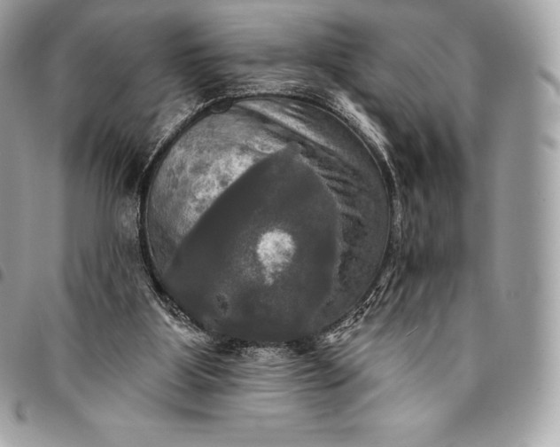 X0000095110107200712211329