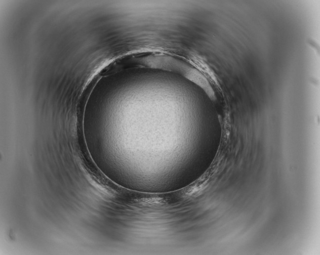 X0000095110108200712211329