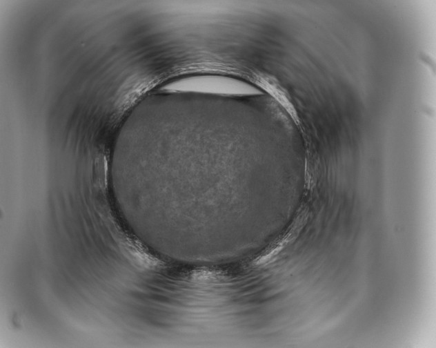 X0000095110109200712211329