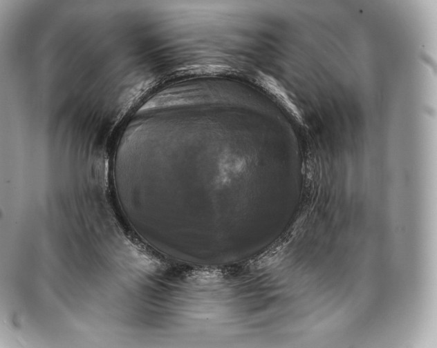 X0000095110110200712211329