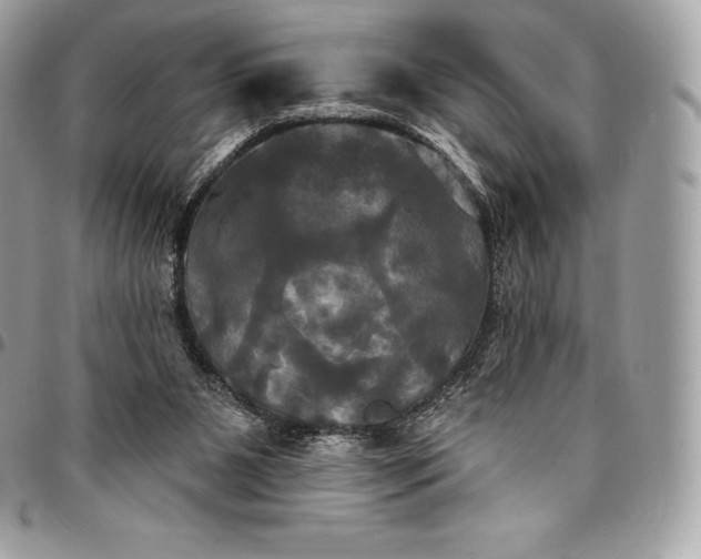 X0000095110111200712211329