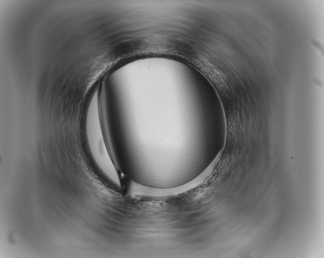 X0000095110112200712211329