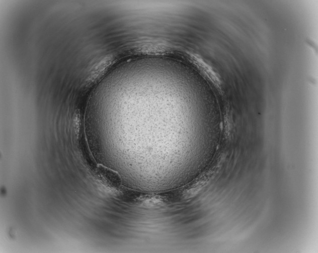 X0000095110113200712211329