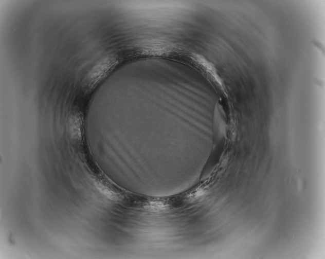 X0000095110114200712211329