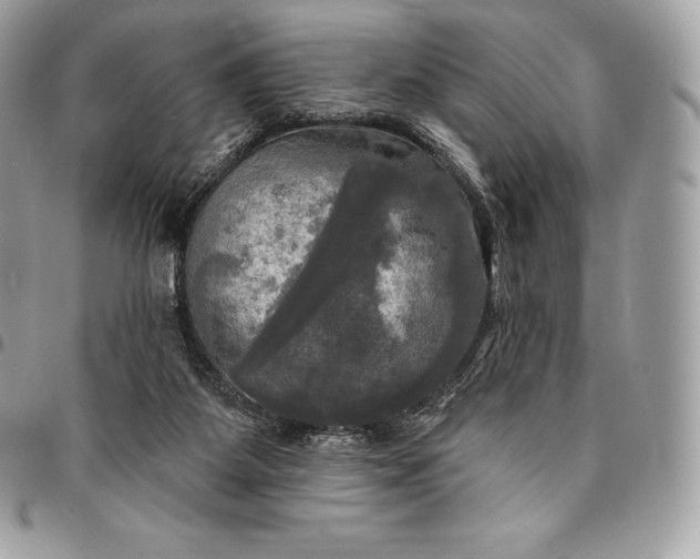 X0000095110115200712211329