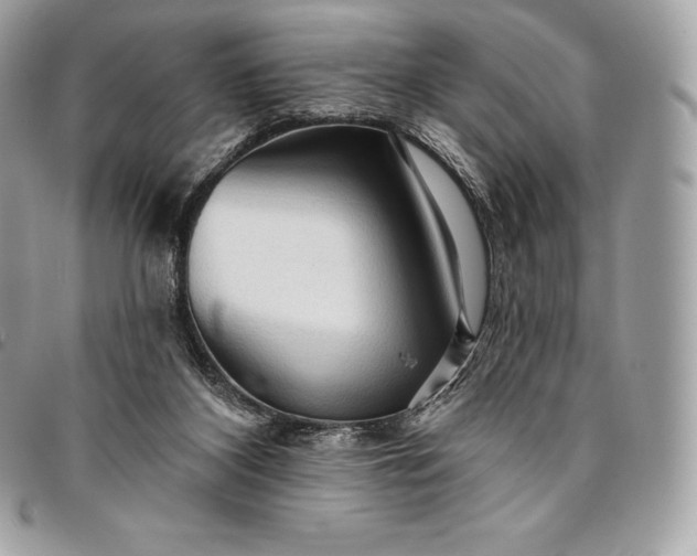 X0000095110116200712211329