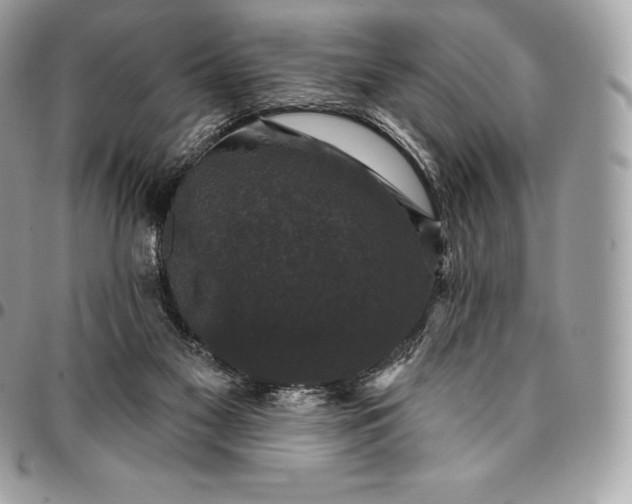 X0000095110117200712211329