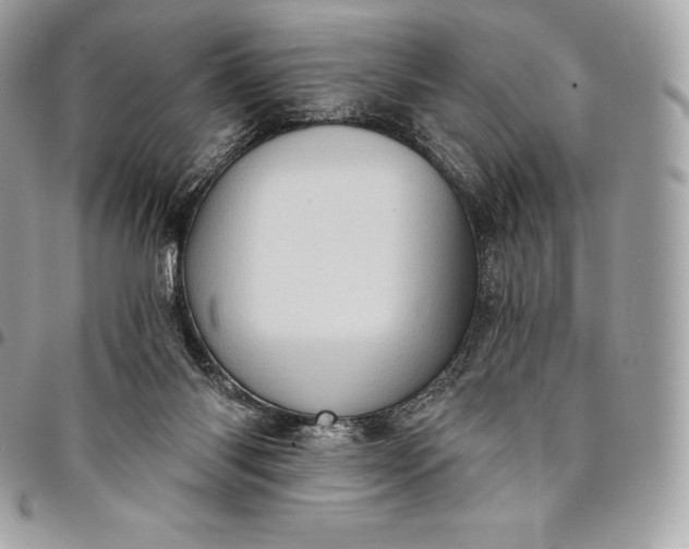 X0000095110118200712211329