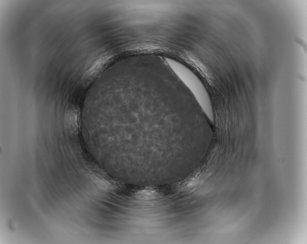 X0000095110119200712211329