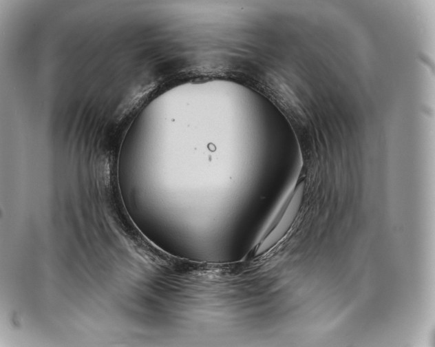 X0000095110120200712211329